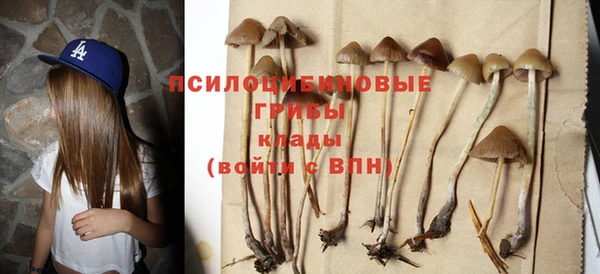 меф VHQ Богданович