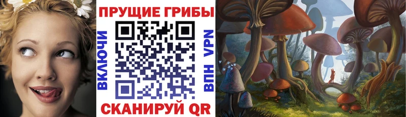 Галлюциногенные грибы мицелий  Красноярск 